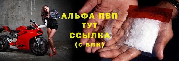 ПСИЛОЦИБИНОВЫЕ ГРИБЫ Покров