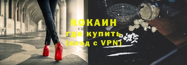 стаф Алексин