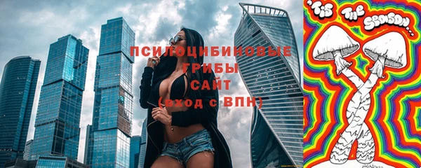 стаф Алексин