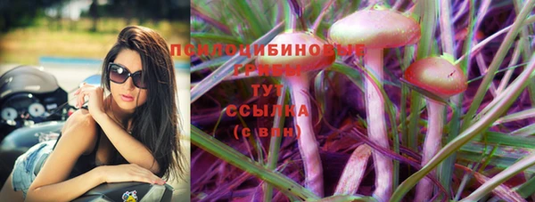 стаф Алексин