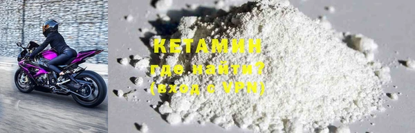 крисы Гатчина