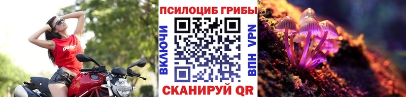Галлюциногенные грибы мицелий Углич